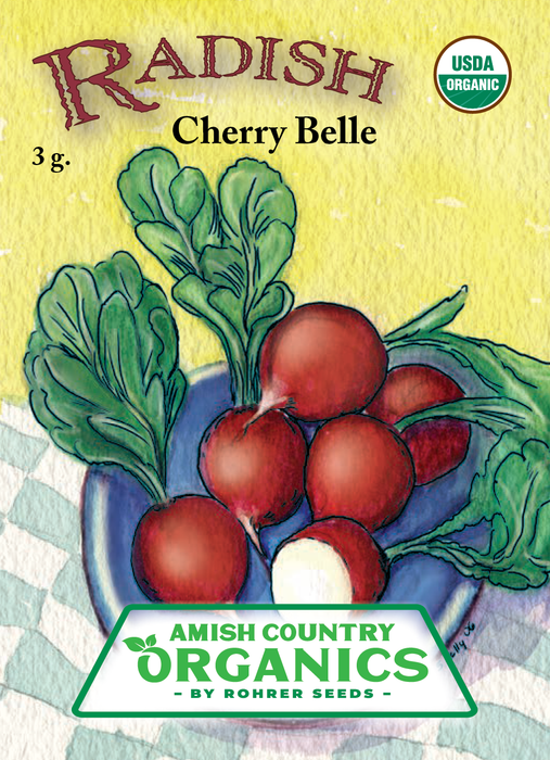 Organic Radish Seeds - USDA Cherry Belle (250 Seeds)