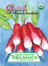 Organic French Breakfast Radish (Pkt)