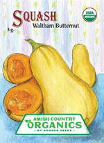 Organic Waltham Butternut Squash (Pkt)