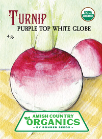 Organic Purple Top White Globe Turnip (Pkt)