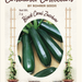Black Coral Zucchini Squash (15 seeds) Container Collection