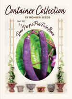 Dow Purple Podded Pole Bean (35 seeds), Container Collection