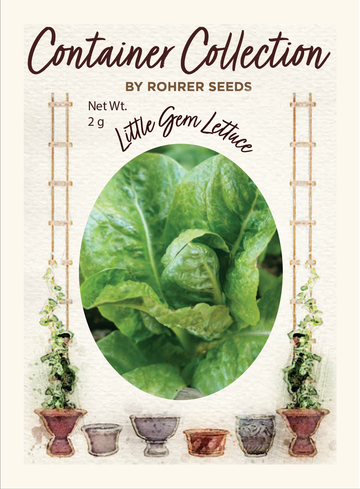 Little Gem Romaine Lettuce (1,500 seeds), Container Collection