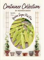 Yellow Sugar Pod Pea (60 seeds), Container Collection