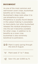 Buckwheat (4 lbs.) Cover Crop