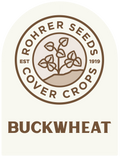 Buckwheat (4 lbs.) Cover Crop Seeds