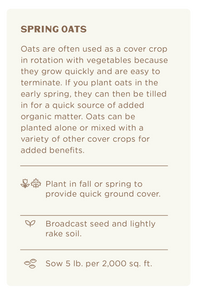 Spring Oats (5 lb.), Cover Crop