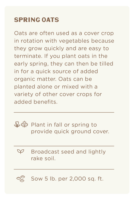Spring Oats (5 lb.), Cover Crop Seeds