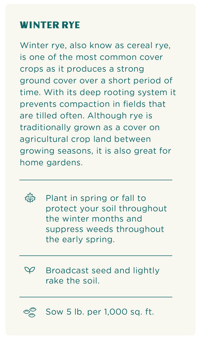 Winter Rye, Cover Crop Seeds