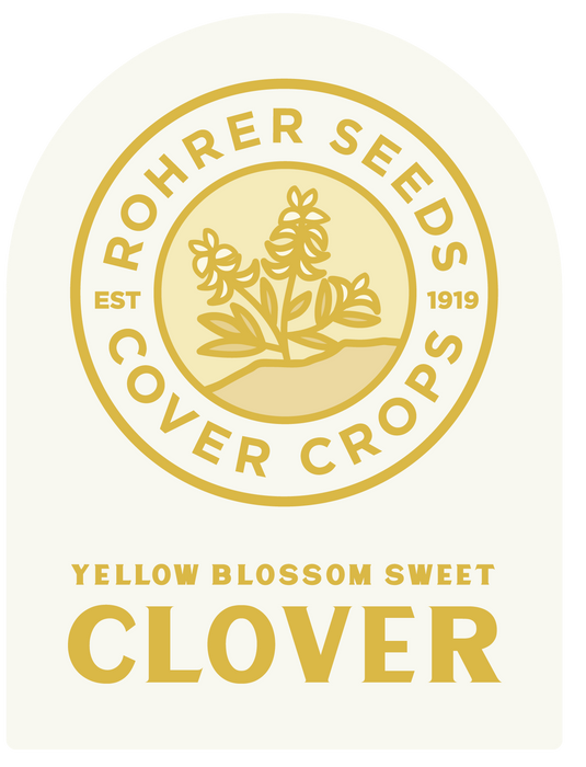 Yellow Blossom Sweet Clover (1 lb.), Cover Crop Seeds
