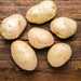 Reba Potatoes, (Substitute for Katahdin)