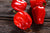 Organic Red Habanero Hot Pepper (Pkt)