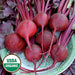 Organic Bulls blood beet grown from seed resting on a plate.