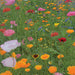 Bee Feed Flower Mix