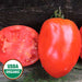 Salvaterra's Select Tomato