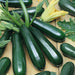 Black Coral Zucchini Squash (15 seeds) Container Collection