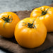 Sunny Boy F1 Hybrid Tomato Seeds