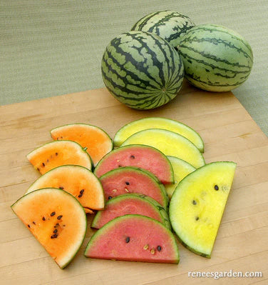 Rainbow Sherbet Trio Watermelon