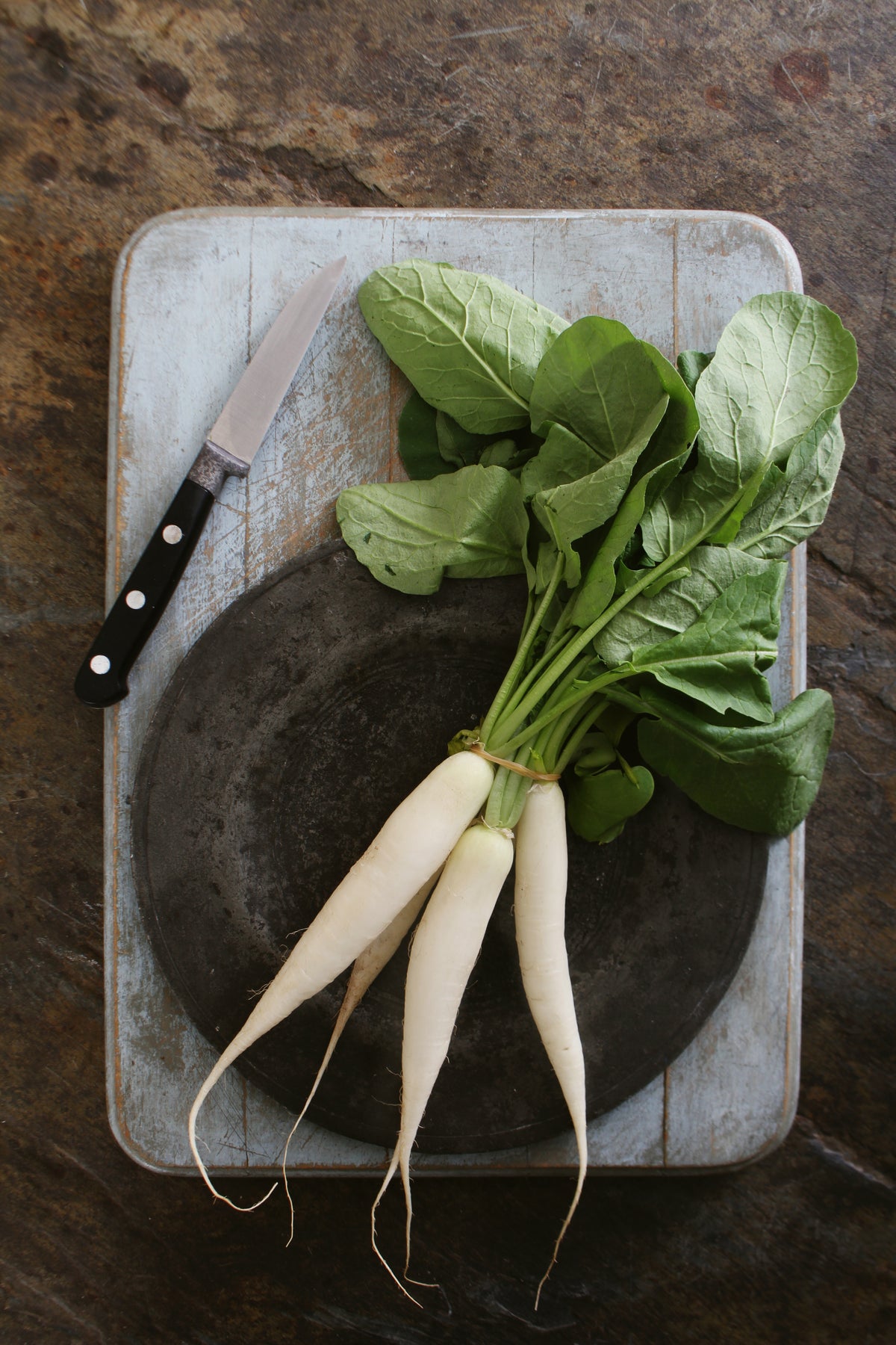 White Icicle Radish Seeds — Rohrer Seeds