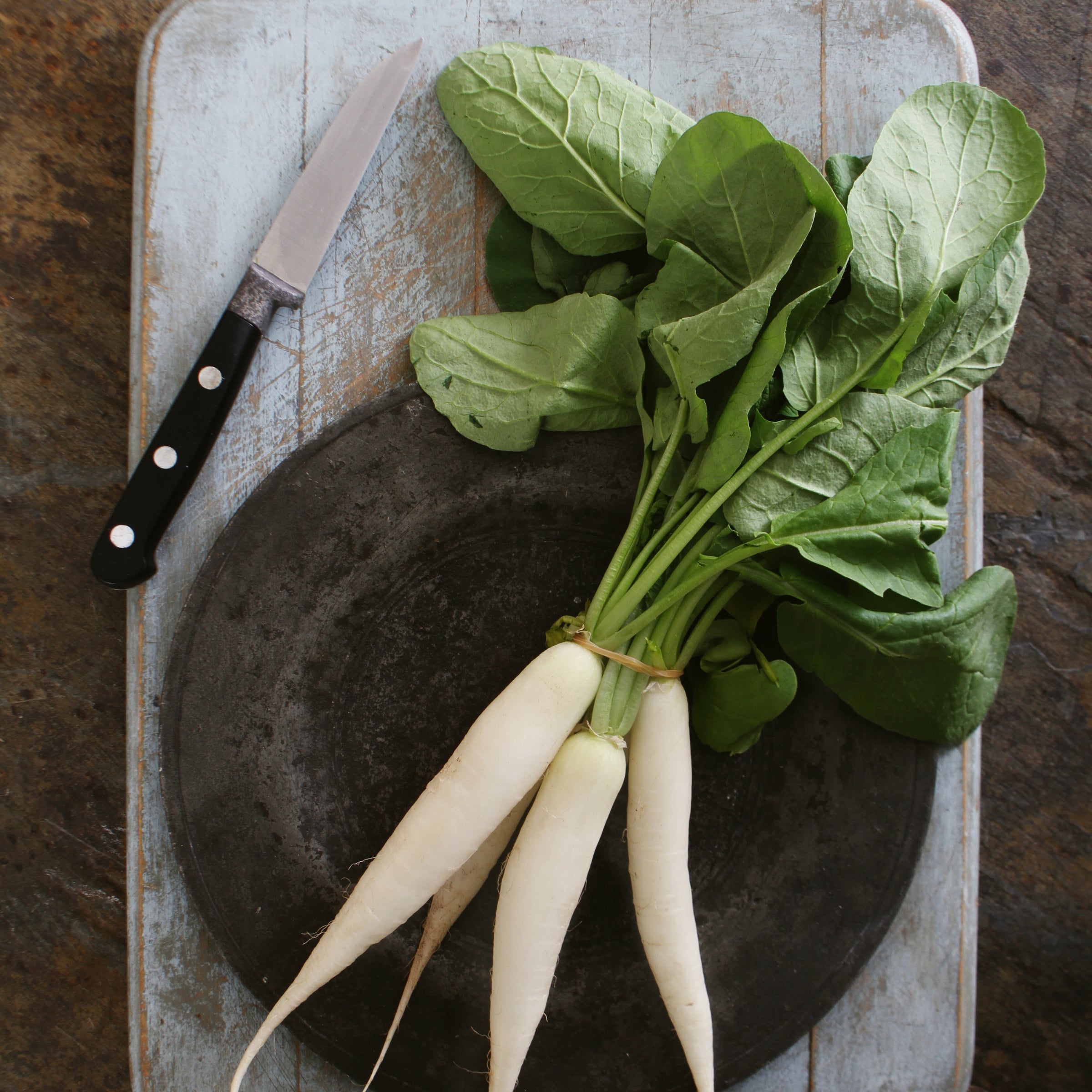 White Icicle Radish?variant=41986104492195