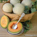 Mini Sugar Cube Cantaloupe Melon