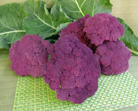 Purple Crush Cauliflower