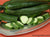 Chelsea Prize English Cucumber