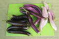 Asian Trio Eggplant