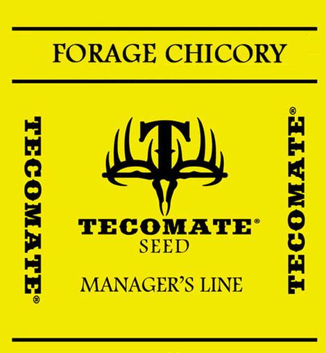 Tecomate Champion Chicory