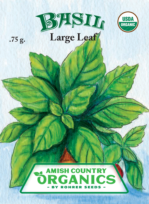 Organic Basil Seeds - USDA Large Leaf Sweet Basil (300 Seeds)