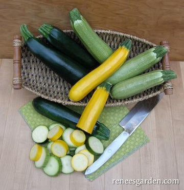 Tricolor Zucchini