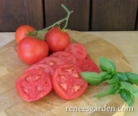 Crimson Carmello Hybrid Tomato