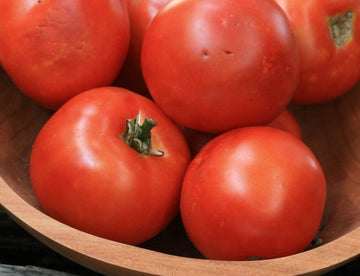 Heinz 1350 VF Paste Tomato (Pkt)