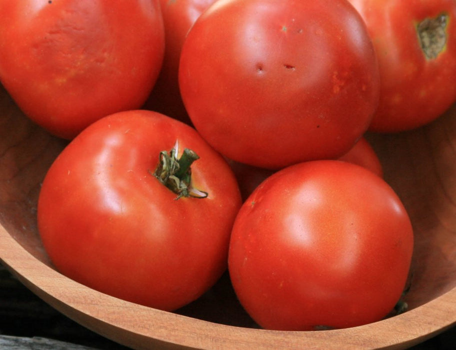 Heinz 1350 VF Paste Tomato (Pkt)
