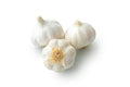 White Softneck Garlic (2 Bulbs/Pk)